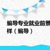编导专业就业前景怎么样（编导）