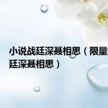 小说战廷深聂相思(限量婚宠战廷深聂相思)