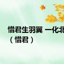 惜君生羽翼 一化北冥鱼（惜君）