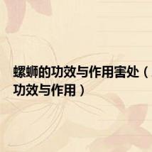 螺蛳的功效与作用害处(螺蛳的功效与作用)