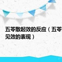 五苓散起效的反应(五苓散吃后见效的表现)