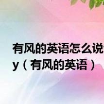 有风的英语怎么说windy(有风的英语)