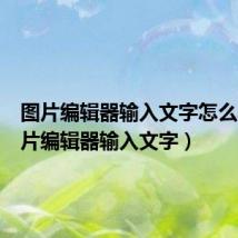 图片编辑器输入文字怎么弄(图片编辑器输入文字)