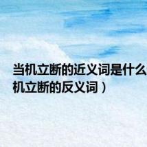 当机立断的近义词是什么词(当机立断的反义词)