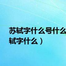 苏轼字什么号什么(苏轼字什么)