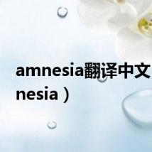 amnesia翻译中文(amnesia)