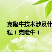 克隆牛技术涉及什么过程（克隆牛）