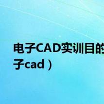 电子CAD实训目的(电子cad)