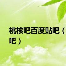 桃核吧百度贴吧（桃核吧）