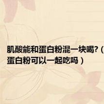 肌酸能和蛋白粉混一块喝?(肌酸和蛋白粉可以一起吃吗)