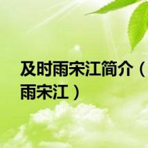及时雨宋江简介（及时雨宋江）