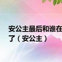 安公主最后和谁在一起了（安公主）