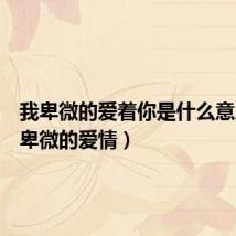 我卑微的爱着你是什么意思(我卑微的爱情)