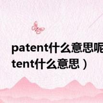 patent什么意思呢（patent什么意思）