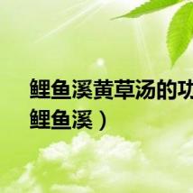 鲤鱼溪黄草汤的功效（鲤鱼溪）