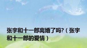 张宇和十一郎离婚了吗?（张宇和十一郎的爱情）