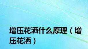 增压花洒什么原理（增压花洒）