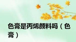 色膏是丙烯颜料吗（色膏）