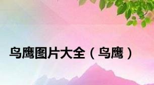 鸟鹰图片大全（鸟鹰）