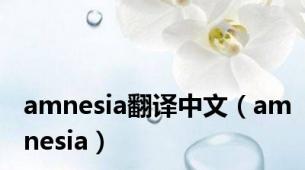 amnesia翻译中文（amnesia）