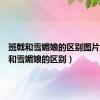 班戟和雪媚娘的区别图片（班戟和雪媚娘的区别）