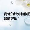 青蛙的好处和作用（青蛙的好处）