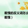 羞愧的反义词怎么写（羞愧）