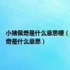 小猪佩奇是什么意思梗（小猪佩奇是什么意思）