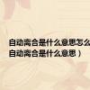 自动离合是什么意思怎么使用（自动离合是什么意思）