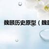 魏颐历史原型（魏颐）