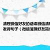 清理微信好友的话语微信清理好友发得句子（微信清理好友简单句子）