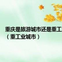 重庆是旅游城市还是重工业城市(重工业城市)