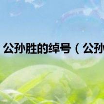 公孙胜的绰号（公孙胜）