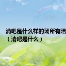 清吧是什么样的场所有陪酒女吗(清吧是什么)