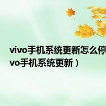 vivo手机系统更新怎么停止(vivo手机系统更新)