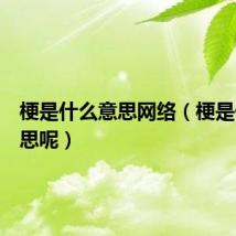 梗是什么意思网络（梗是什么意思呢）