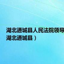 湖北通城县人民法院领导名单(湖北通城县)
