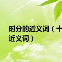 时分的近义词（十分的近义词）