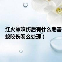 红火蚁咬伤后有什么危害(红火蚁咬伤怎么处理)