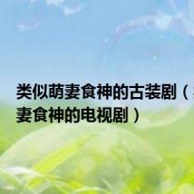 类似萌妻食神的古装剧(类似萌妻食神的电视剧)