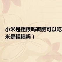 小米是粗粮吗减肥可以吃吗(小米是粗粮吗)