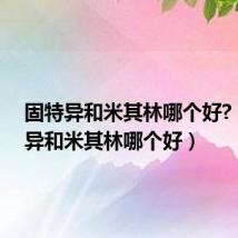 固特异和米其林哪个好?(固特异和米其林哪个好)