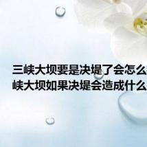 三峡大坝要是决堤了会怎么样(三峡大坝如果决堤会造成什么后果)
