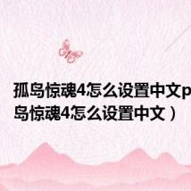 孤岛惊魂4怎么设置中文ps4(孤岛惊魂4怎么设置中文)