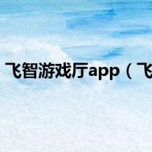 飞智游戏厅app（飞智）
