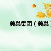 美巢集团（美巢）