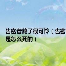 告密者鸽子很可怜(告密者鸽子是怎么死的)