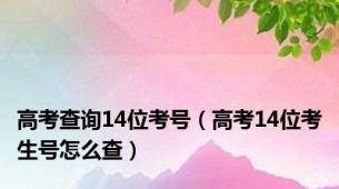 高考查询14位考号（高考14位考生号怎么查）
