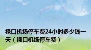 禄口机场停车费24小时多少钱一天（禄口机场停车费）