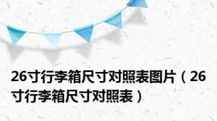 26寸行李箱尺寸对照表图片（26寸行李箱尺寸对照表）